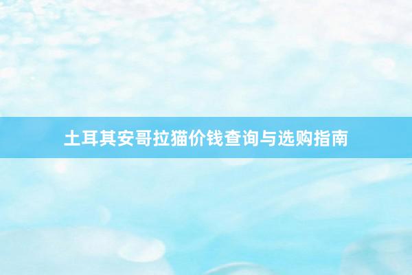 土耳其安哥拉猫价钱查询与选购指南