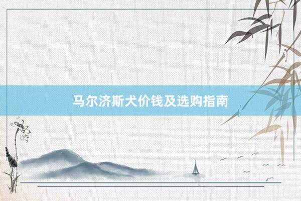 马尔济斯犬价钱及选购指南